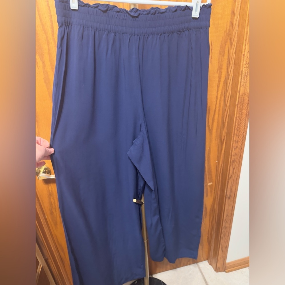Express Stretch Pull-On Wide Leg Palazzo Pants Dark Blue Size Large like New